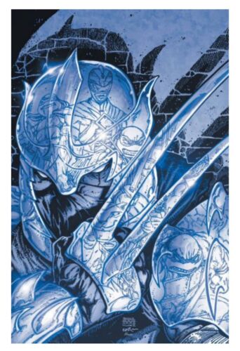 Mmpr Teenage Mutant Ninja Turtles II Black & White Edition #1 Cover E Foc Reveal