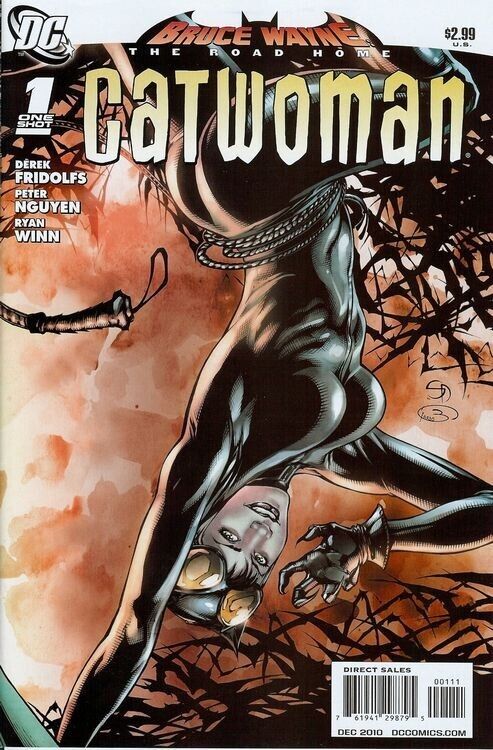 Bruce Wayne: The Road Home: Catwoman #1 Shane Davis Cover